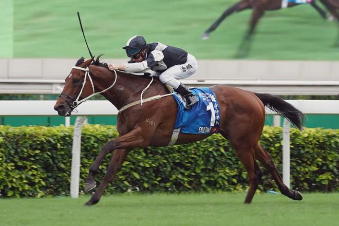 驹戴眼罩夺魁家族曾养香港马王头号玩家龙八国际网址王经纬赛(图2)