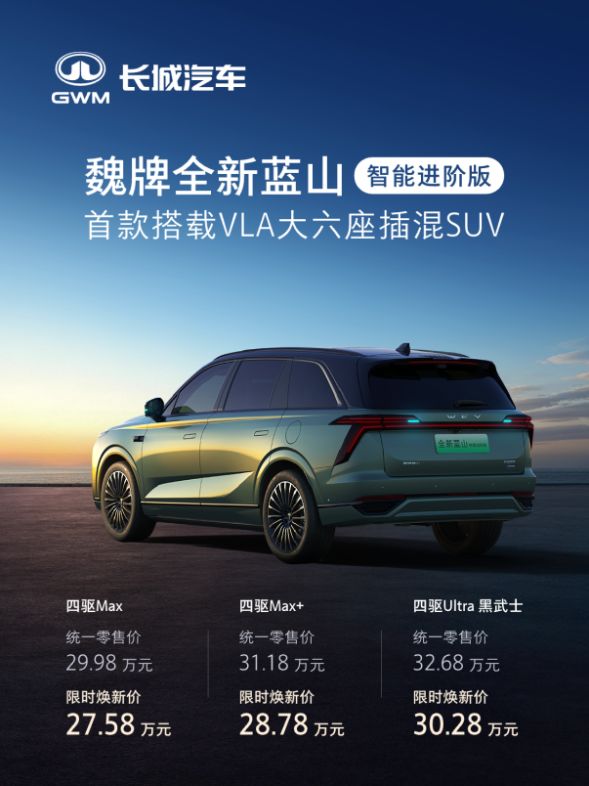 8万起 定义家庭SUV豪华新标杆魏牌全新蓝山智能进阶版限时275(图9)